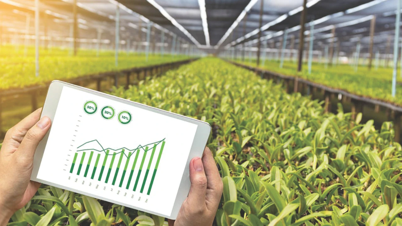 Transforming Ethiopian Agriculture with Blockchain